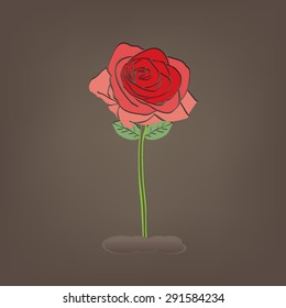 Abstract red rose on soil