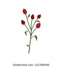 Abstract red wildflower isolated on white background. Wild flower floral botanical plant. Meadow and field herb. Delicate spring flower illustration in hand drawn flat style 