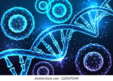 Abstract regenerative medicine futuristic concept with glowing low polygonal stem cells and DNA spiral molecule on dark blue background. Modern wire frame mesh design vector illustration.