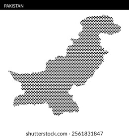 An abstract representation of Pakistan’s outline, emphasizing its geographical features and borders within a grid pattern.