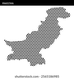 An abstract representation of Pakistan’s outline, emphasizing its geographical features and borders within a grid pattern.