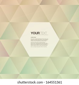 Abstract retro hexagonal text box with triangle pattern background Eps 10 vector illustration