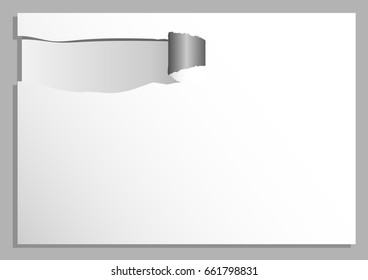 abstract ripped or tear square blank paper white and gray tone vector background with shadow modern concept, space for text or message web and book design