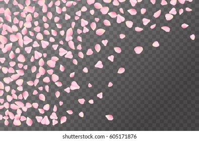 Abstract romanic background with flying Pink rose, cherry or sakura petals  petals isolated on a transparent background. Flying pink petals mock up. Vector illustration. EPS 10