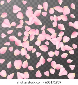 Abstract romanic background with flying Pink rose, cherry or sakura petals  petals on a dark transparent background. Vector illustration. EPS 10