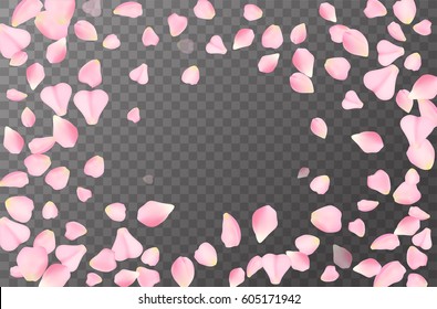 Abstract romanic background with flying Pink rose, cherry or sakura petals  petals isolated on a transparent background. Flying pink petals mock up. Vector illustration. EPS 10
