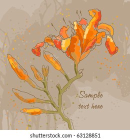 Abstract romantic vector background with three lily on brown paper