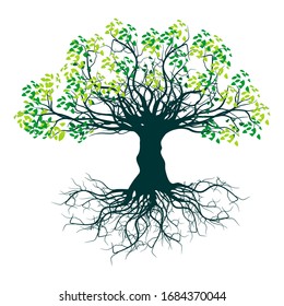 Illustration vectorielle abstraite Arbre et feuilles enracinés 