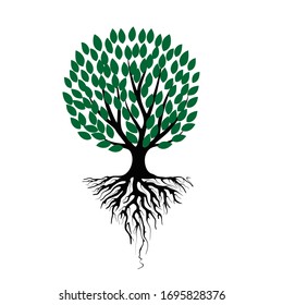 Abstract Rooted tree and leafs vector illustration
