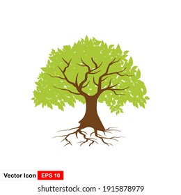 Abstract Rooted tree and leaves vector illustration