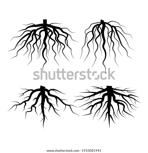 Abstract Roots Doodle Vector Illustration Abstract Stock Vector ...