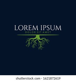 Abstract roots logo design, root logo design inspiration isolated 