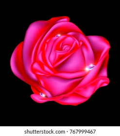 abstract rose and gems