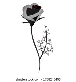 Abstract rose isolated on white background, design element.