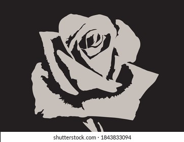 Abstract rose in minimalist style. Flower art shadow print. Elegant bloom illustration of black and brown colors.

