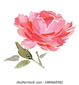 Abstract rose in watercolor style for postcards and congratulations