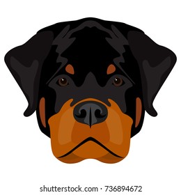 Abstract rottweiler dog head. Cartoon stylish black rottweiler dog portrait pattern background for design t shirt, veterinary clinic poster, gift card, bag print, art workshop advertising etc.