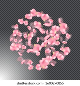 Abstract round frame of falling realistic sakura flower petals. Falling pink sakura petals on transparent background. Vector background with spring cherry blossom for valentines day, wedding, birthday