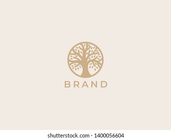 Abstract round tree logo icon. Universal creative premium solid floral leaf symbol. Cosmetic and spa. Vector circle life tree icon sign.