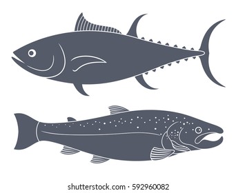 Abstract salmon and tuna. Isolated salmon on white background. EPS 10. Vector illustration