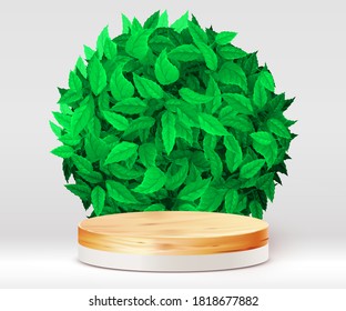 Abstract scene background. Cylinder wood podium on white background with leaves. Product presentation, mock up, show cosmetic product, Podium, stage pedestal or platform. Vector illustration