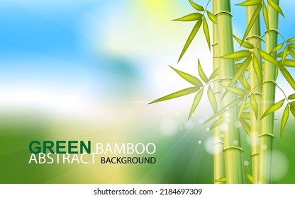 Abstract Scene for cosmetic Product and Package Presentation Background. Bamboo forest and green meadow with natural light in blur style. Bamboo green leaves and bamboo trees with bokeh in nature. 