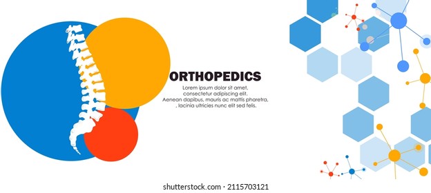 Abstract science medical orthopedics of whole spine injury. The concept for hospital and research.