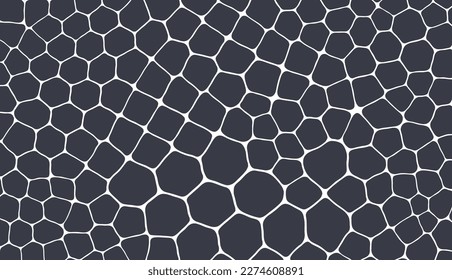 Abstract scientific background with cells or cell membranes. Black and white design. Vector illustration for print, textile, fabric, package, wrapping or cover.