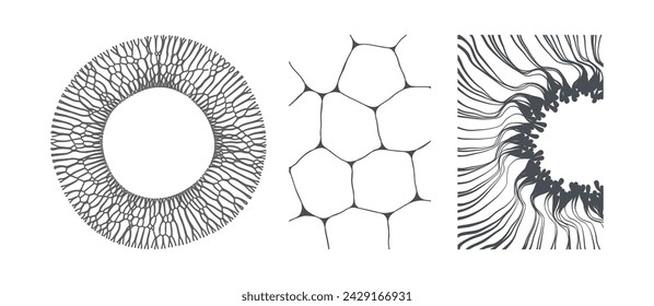 Abstract scientific background with cells or cell membranes. Array with dynamic particles of small particles in circle. Circular frame element. Radial racy vector design. Illustration for design.