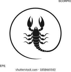 Abstract scorpio. Isolated scorpio on white background