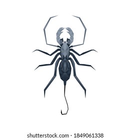 Abstract scorpion isolated on white background, vector illustration