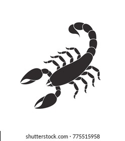 Abstract scorpion. Isolated scorpion on white background

