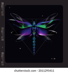 Abstract screen banner with a dragonfly in photo frame.Cover for social media, splash for website. Modern design of covers, printing on t-shirts.