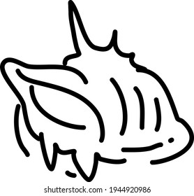 Abstract sea shell, illustration, vector on a white background