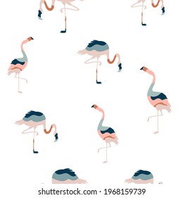 Abstract seamless pattern with colorful flamingo birds, bright vector illustration