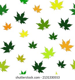 Abstract seamless pattern with colorful maple leaves isolated on white background. Floral drawn eco print, vector design eps 10