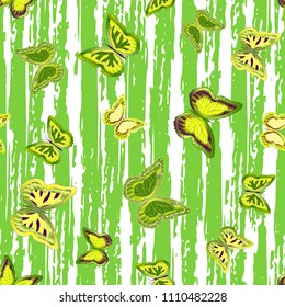 Abstract seamless pattern with flying butterflies on a background of colored stripes. The quadrangular texture of the summer. Vector illustration. Suitable for fabric, wallpaper, packaging.