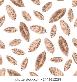 Patrón sin costuras abstracto con hojas de guayaba. Granja de moda vintage texturas de hojas marrones sobre fondo blanco. Se puede utilizar para textiles.