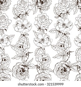 Abstract seamless pattern with hand drawing isolated white roses with black outline. Vector illustration.