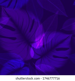 Abstrato padrão sem emenda com folhas monstera exóticas desenhadas à mão e flores de crisântemo. Padrão para criar embalagem, papel de parede, tecido.