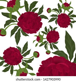 Abstract seamless pattern with isolated red roses or piony, buds and green leaves on white background. Floral vector illustration.
