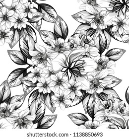 Abstract seamless pattern with plants, herbs and flowers, colorful botanical illustration.
