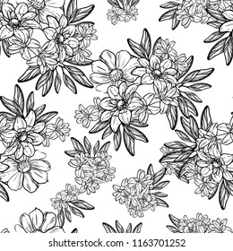 Abstract seamless pattern with plants, herbs and flowers, colorful botanical illustration.