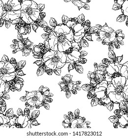 Abstract seamless pattern with plants, herbs and flowers