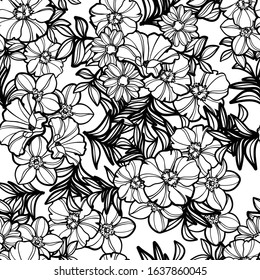 Abstract seamless pattern with plants, herbs and flowers