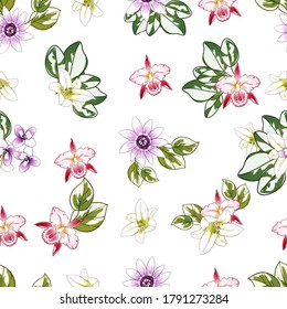 Abstract seamless pattern with plants, herbs and flowers