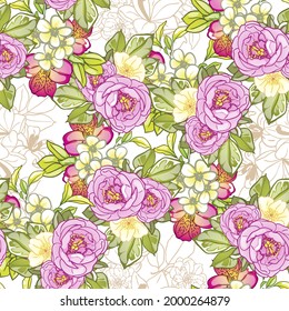 Abstract seamless pattern with plants, herbs and flowers, botanical illustration.