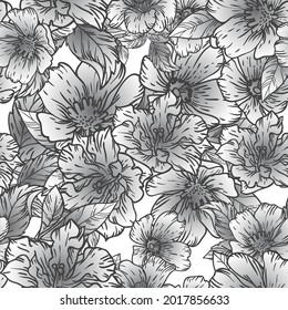 Abstract seamless pattern with plants, herbs and flowers, botanical illustration.
