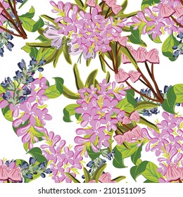 Abstract seamless pattern with plants, herbs and flowers, botanical illustration.