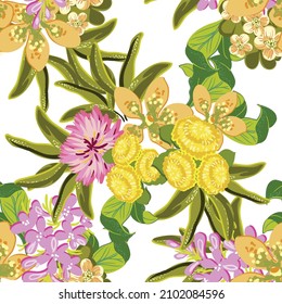 Abstract seamless pattern with plants, herbs and flowers, botanical illustration.